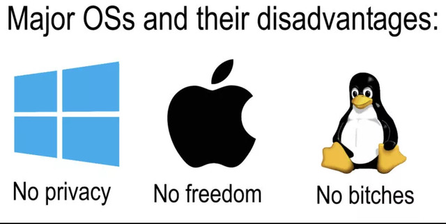 Nachschlag - Bildschirmarbeiter - Picdump KW 24/2022