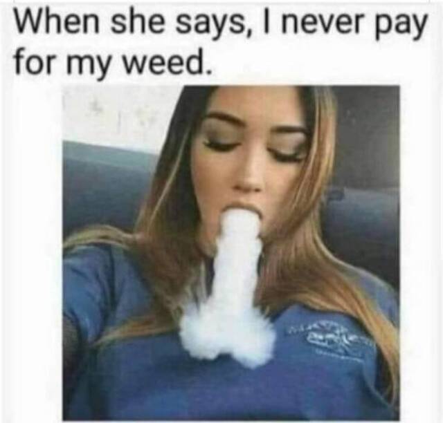 Nachschlag - Bildschirmarbeiter - Picdump KW 24/2022