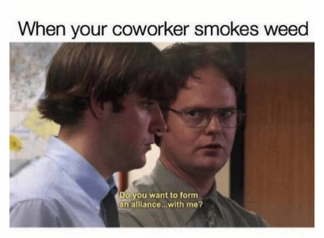 Nachschlag - Bildschirmarbeiter - Picdump KW 24/2022