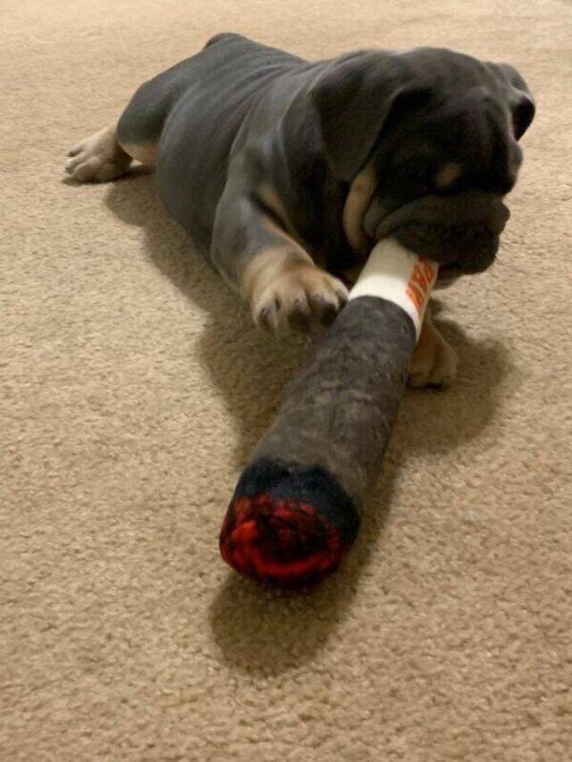 Nachschlag - Bildschirmarbeiter - Picdump KW 24/2022