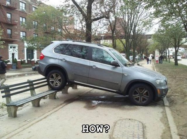 Bildschirmarbeiter - Picdump KW 24/2026