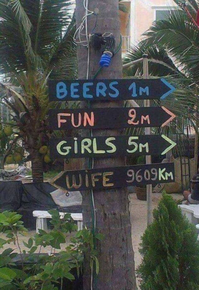 Bildschirmarbeiter - Picdump KW 24/2026