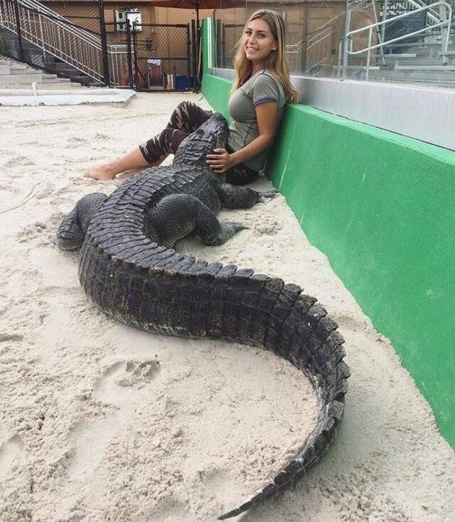 Bildschirmarbeiter - Picdump KW 24/2026