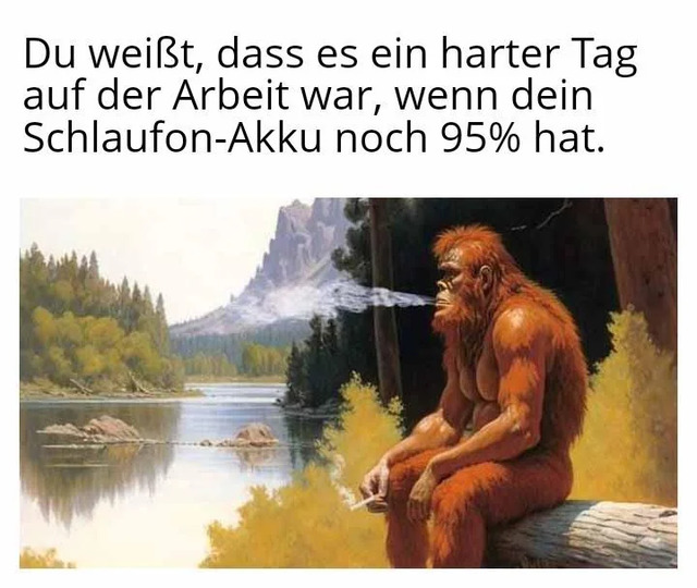 Bildschirmarbeiter - Picdump KW 24/2026