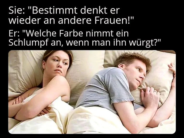 Bildschirmarbeiter - Picdump KW 24/2026