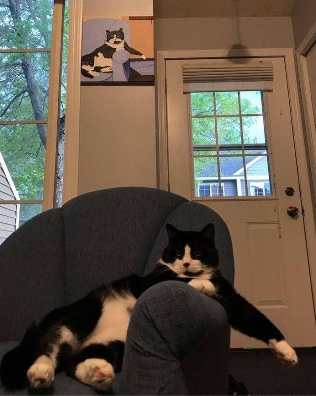 Bildschirmarbeiter - Picdump KW 25/2026