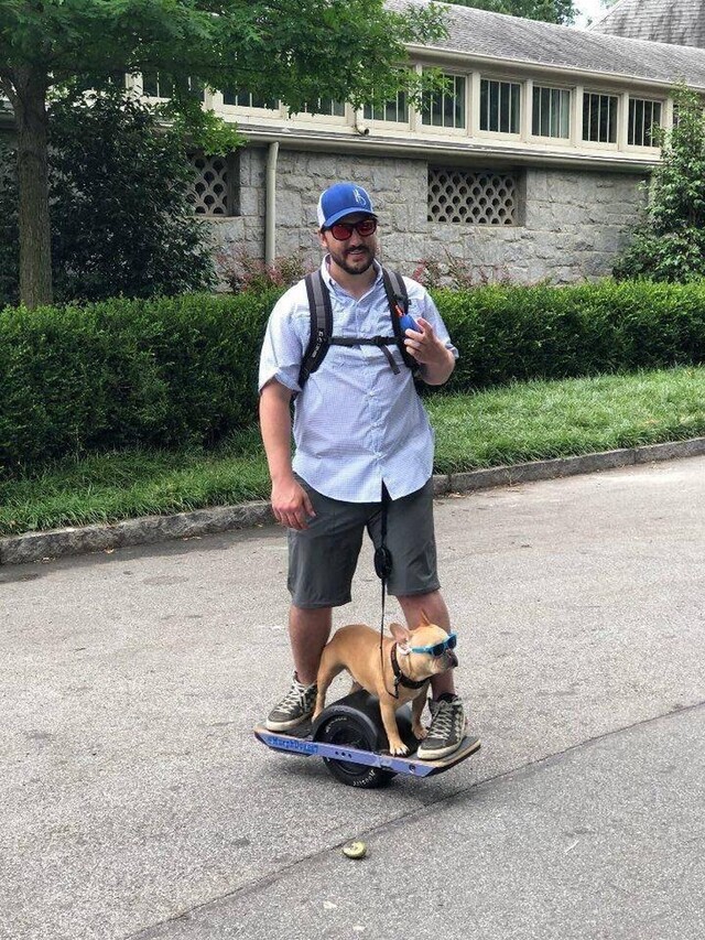 Bildschirmarbeiter - Picdump KW 25/2026