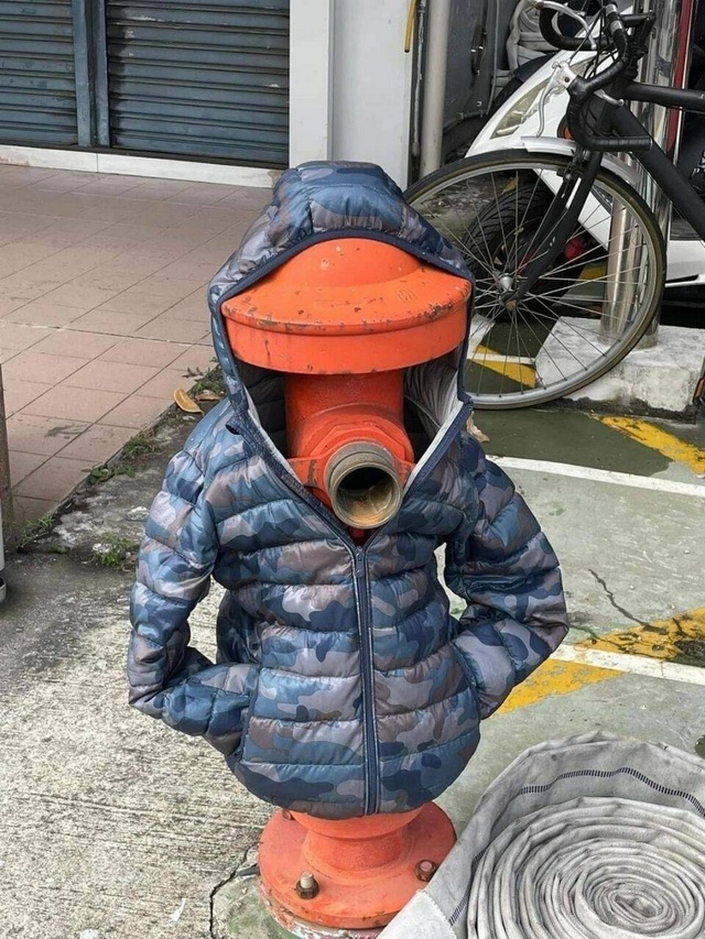 Bildschirmarbeiter - Picdump KW 25/2026
