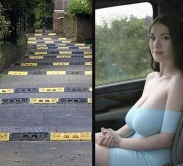 Bildschirmarbeiter - Picdump KW 25/2026