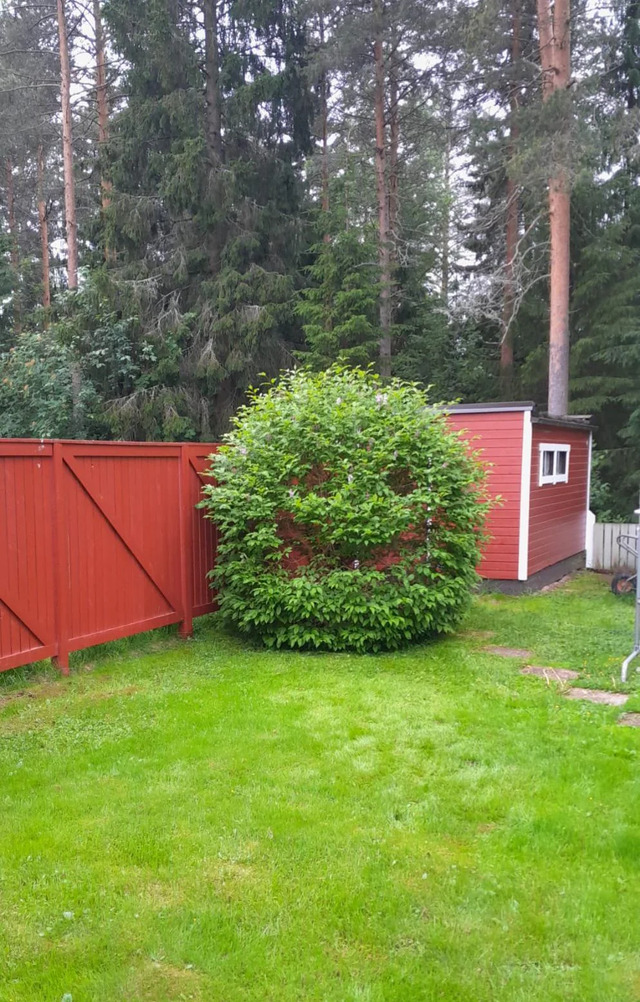 Bildschirmarbeiter - Picdump KW 25/2026
