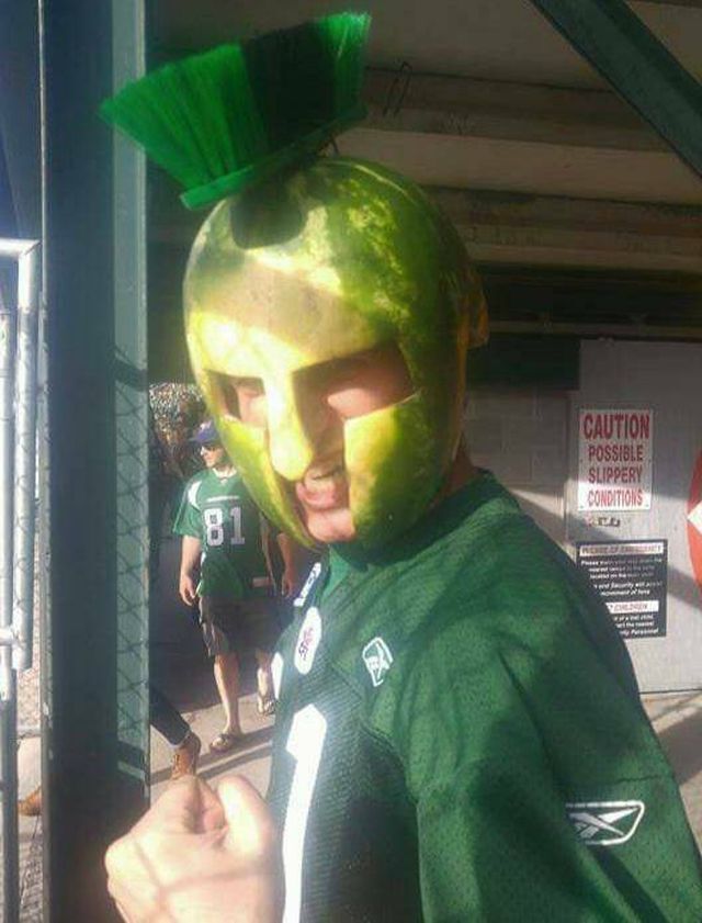 Bildschirmarbeiter - Picdump KW 26/2022