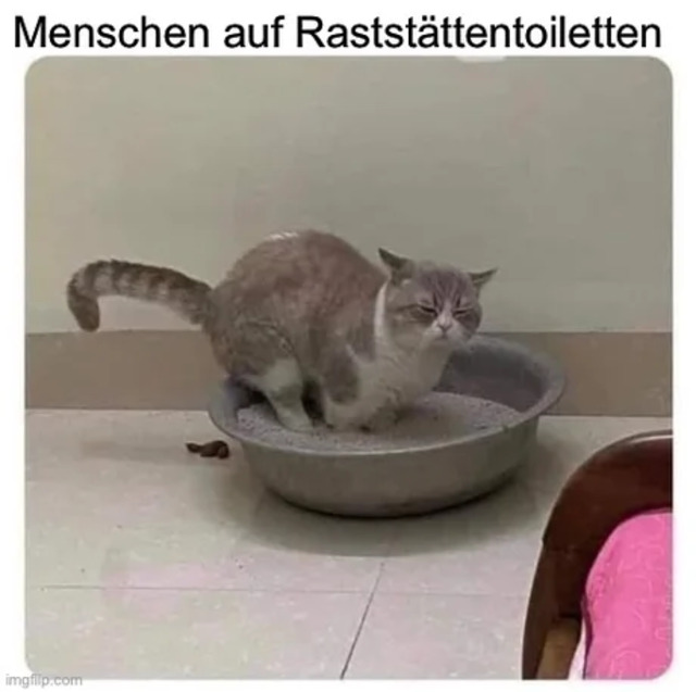 Bildschirmarbeiter - Picdump KW 26/2022