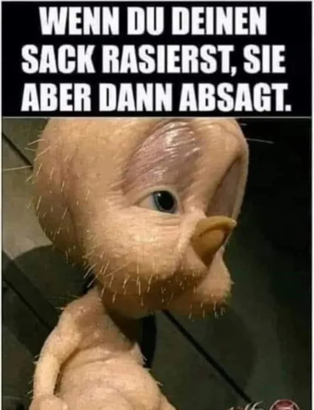 Bildschirmarbeiter - Picdump KW 26/2022