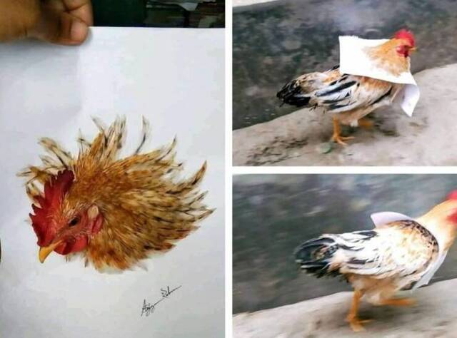 Bildschirmarbeiter - Picdump KW 26/2022