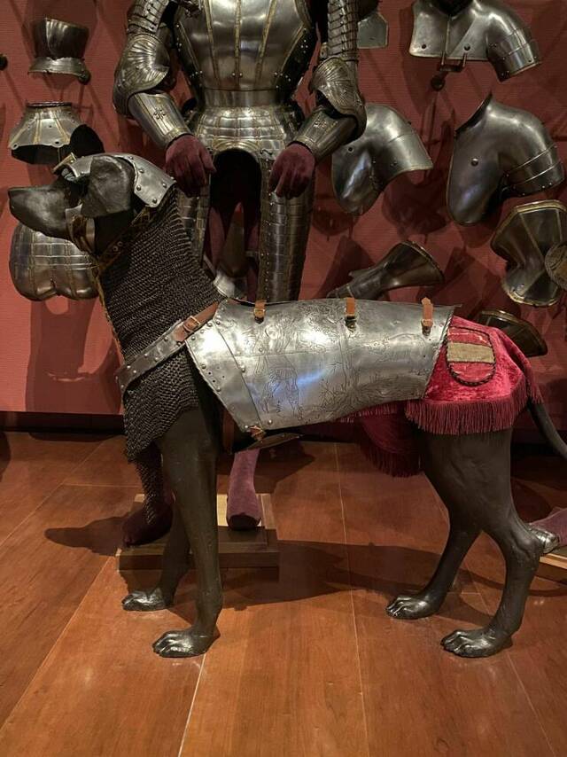 Bildschirmarbeiter - Picdump KW 26/2022