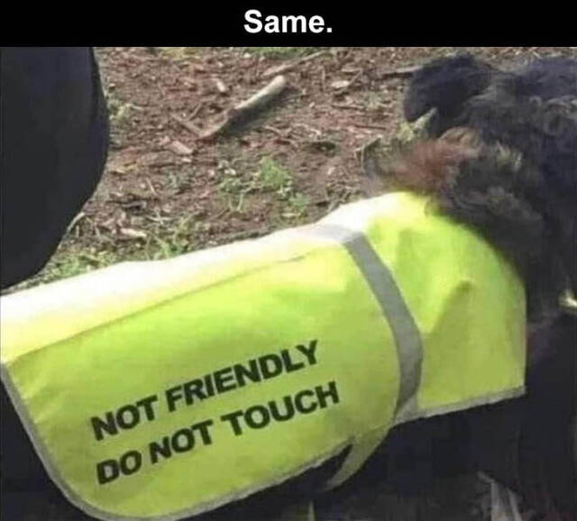 Bildschirmarbeiter - Picdump KW 26/2022