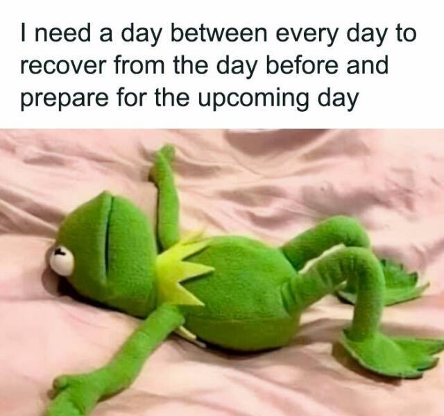 Bildschirmarbeiter - Picdump KW 26/2022