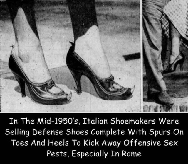 Bildschirmarbeiter - Picdump KW 26/2022