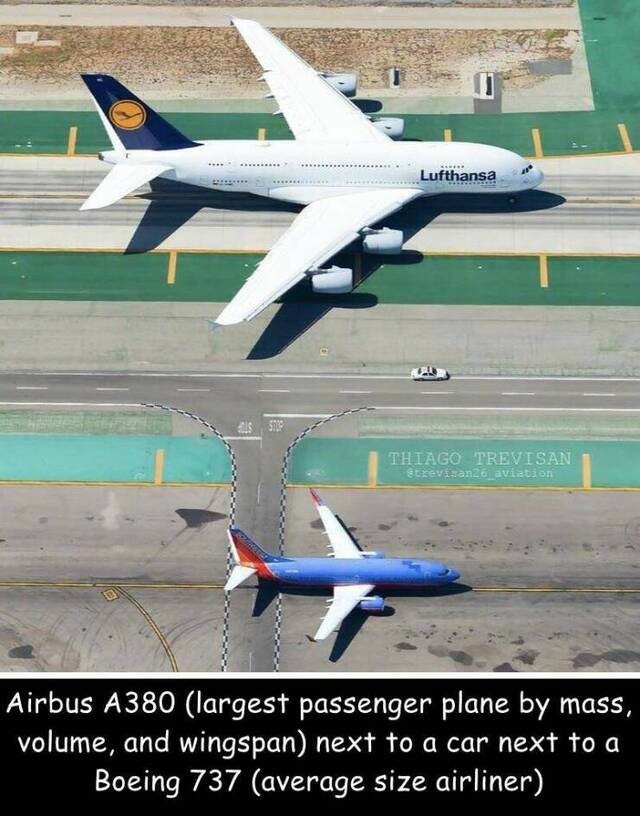 Bildschirmarbeiter - Picdump KW 26/2022