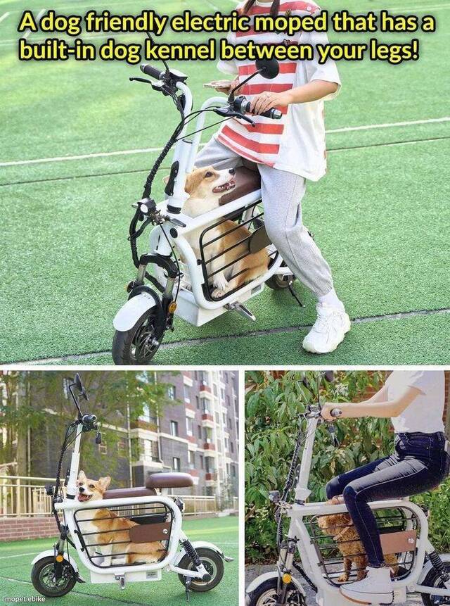 Bildschirmarbeiter - Picdump KW 26/2022