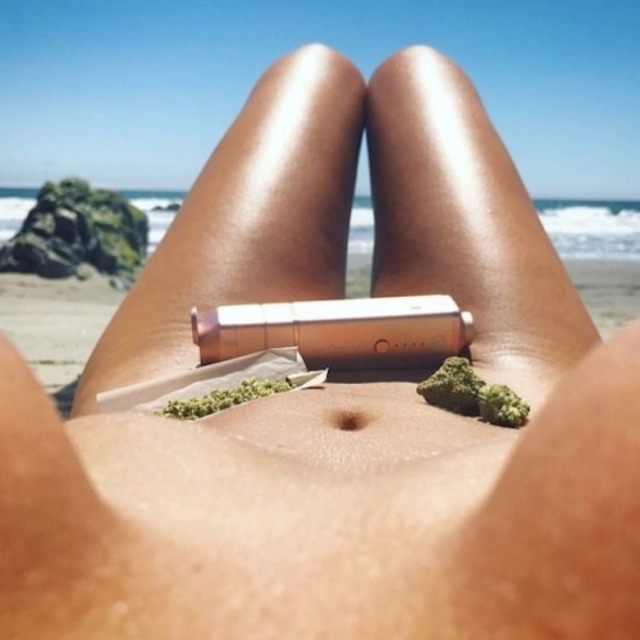 Bildschirmarbeiter - Picdump KW 26/2022