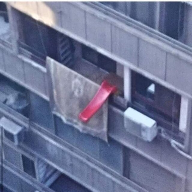 Bildschirmarbeiter - Picdump KW 26/2022