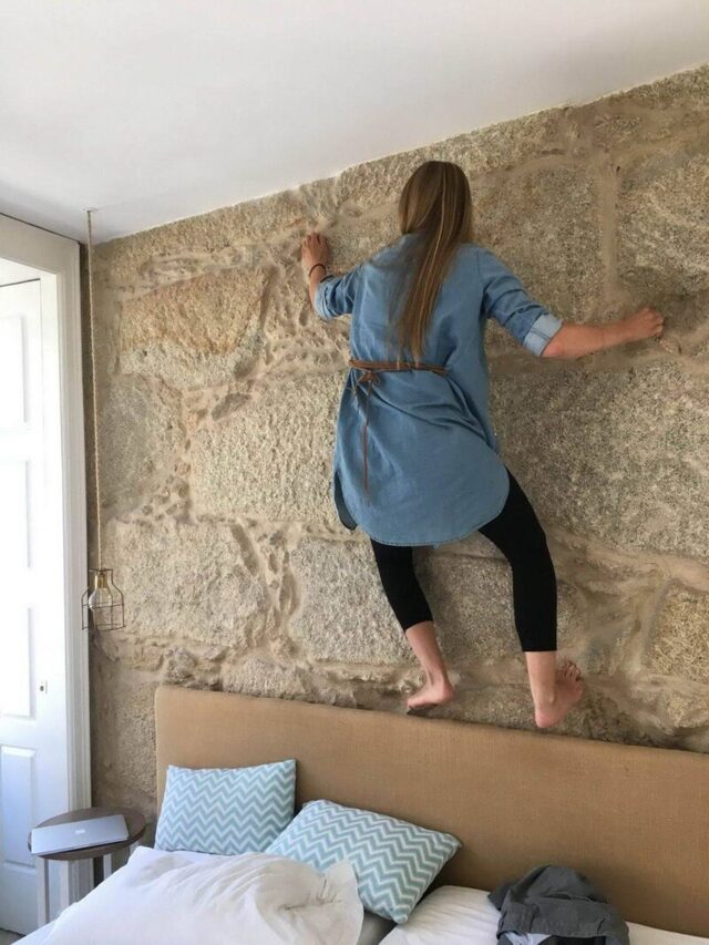 Bildschirmarbeiter - Picdump KW 26/2026