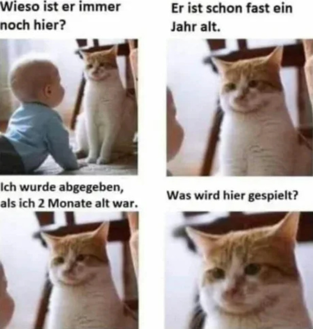 Bildschirmarbeiter - Picdump KW27 2021