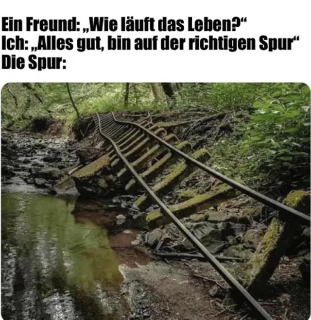 Bildschirmarbeiter - Picdump KW27 2021