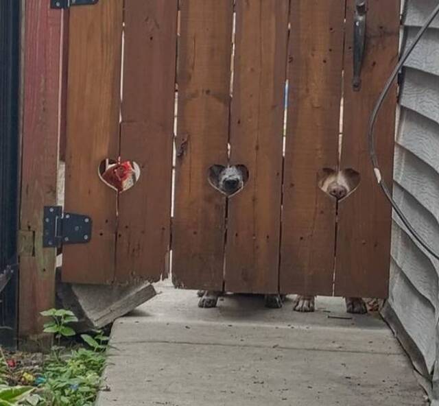 Bildschirmarbeiter - Picdump KW27 2021