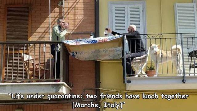 Bildschirmarbeiter - Picdump KW27 2021