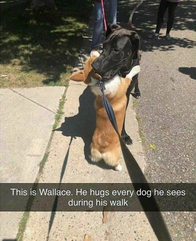 Bildschirmarbeiter - Picdump KW27 2021