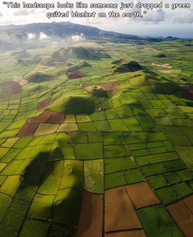 Bildschirmarbeiter - Picdump KW27 2021