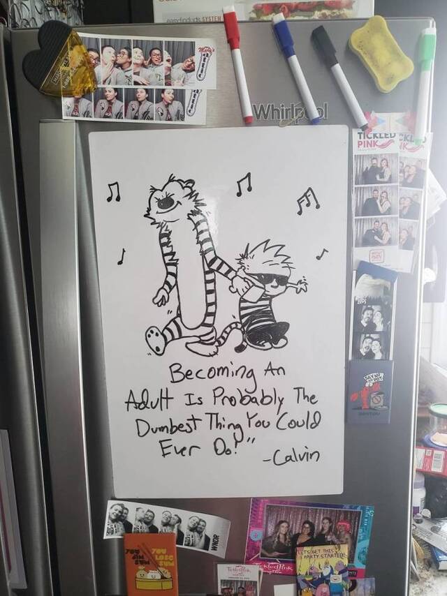 Bildschirmarbeiter - Picdump KW27 2021