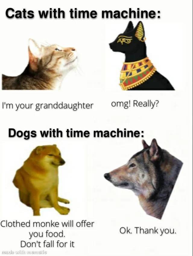 Bildschirmarbeiter - Picdump KW27 2021