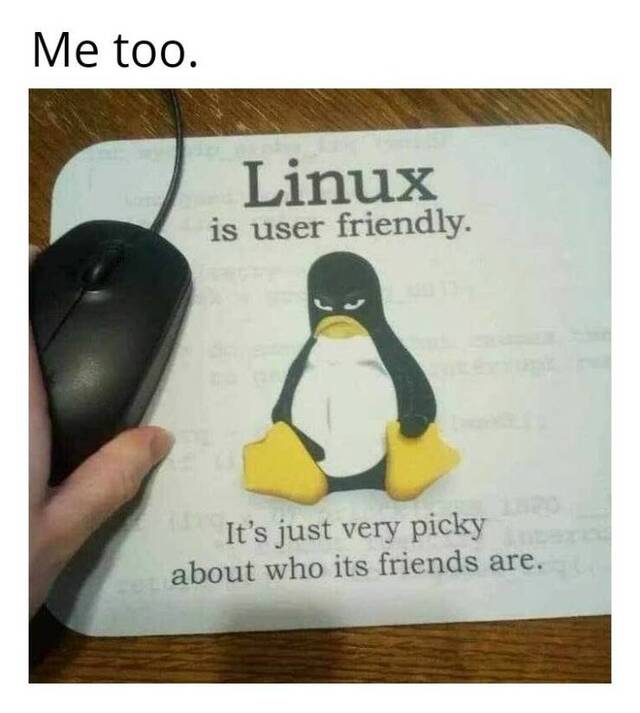 Bildschirmarbeiter - Picdump KW27 2021