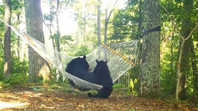 Bildschirmarbeiter - Picdump KW27 2021