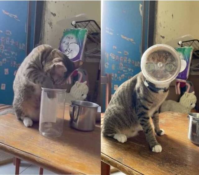 Bildschirmarbeiter - Picdump KW27 2021