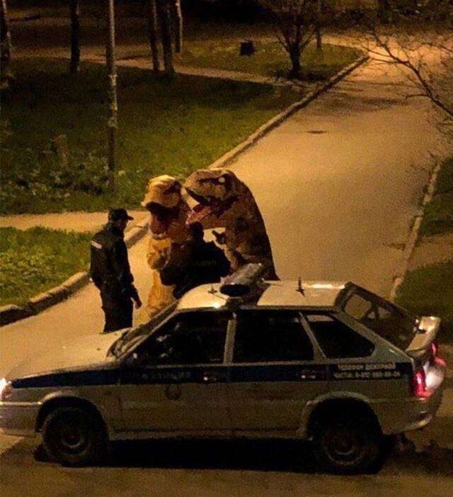 Bildschirmarbeiter - Picdump KW27 2021