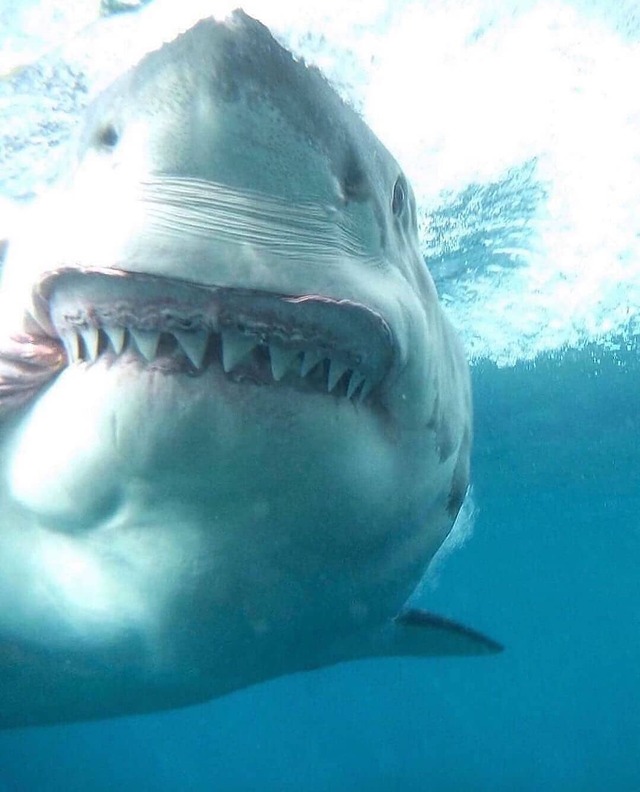 Bildschirmarbeiter - Picdump KW27 2021