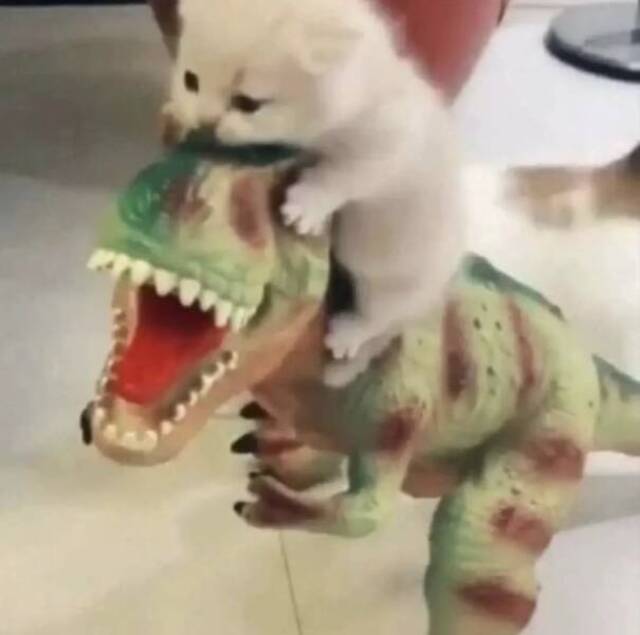 Nachschlag - Bildschirmarbeiter - Picdump KW 27/2022