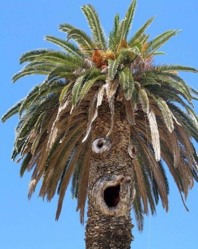 Nachschlag - Bildschirmarbeiter - Picdump KW 27/2022