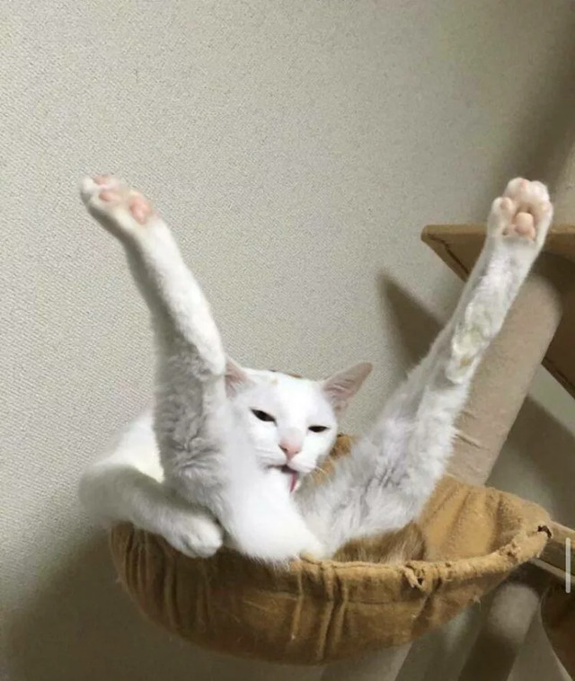 Nachschlag - Bildschirmarbeiter - Picdump KW 27/2022