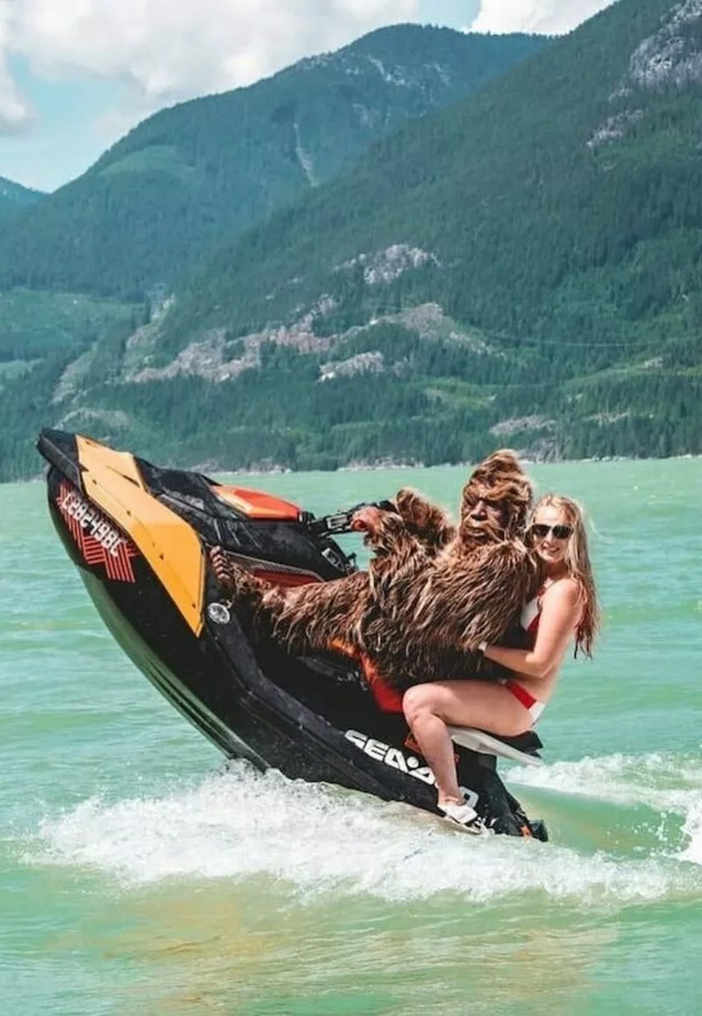 Nachschlag - Bildschirmarbeiter - Picdump KW 27/2022