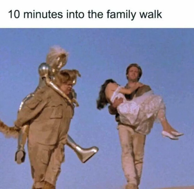 Nachschlag - Bildschirmarbeiter - Picdump KW 27/2022