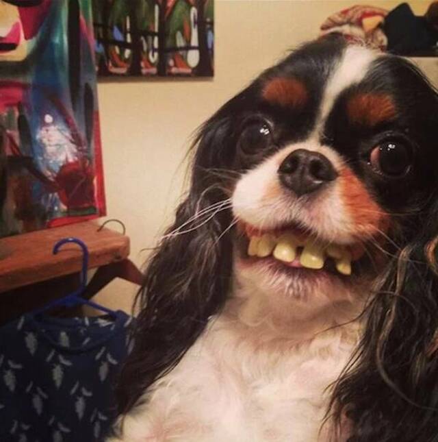 Nachschlag - Bildschirmarbeiter - Picdump KW 27/2022