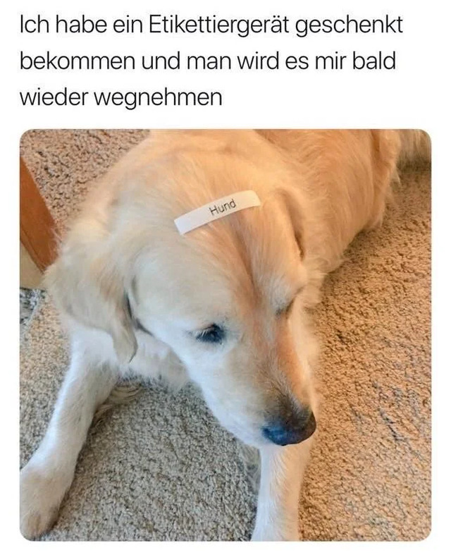 Bildschirmarbeiter - Picdump KW 28/2026