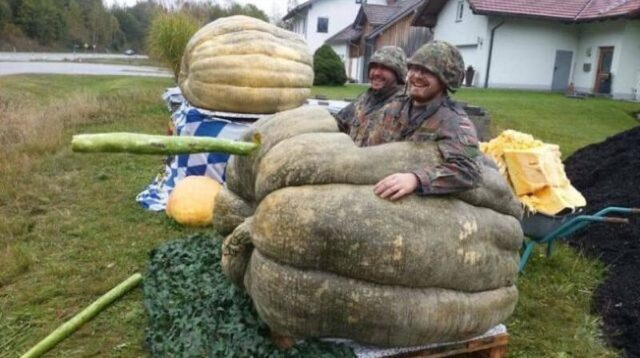 Bildschirmarbeiter - Picdump KW 28/2026
