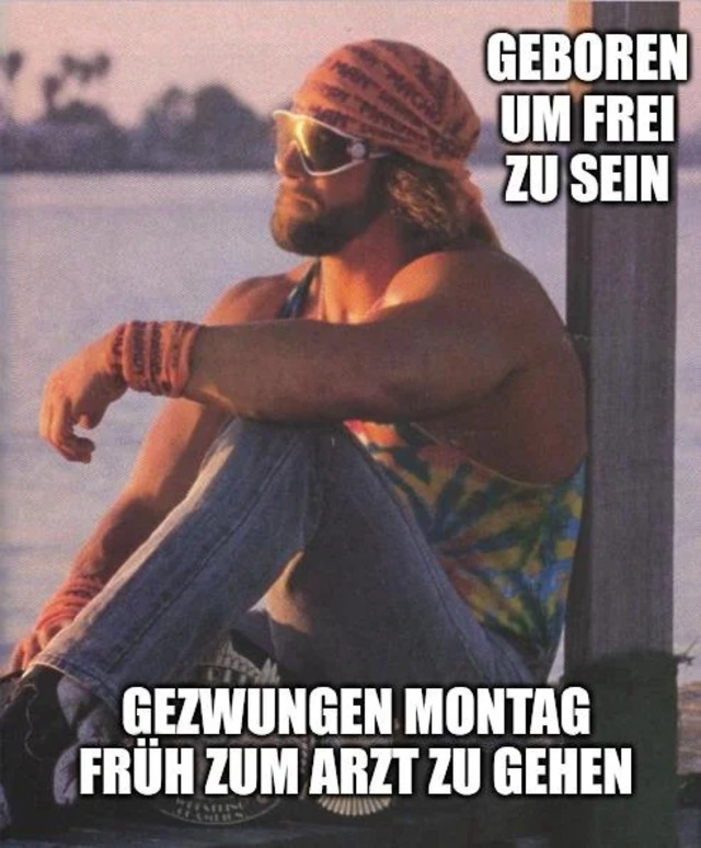 Bildschirmarbeiter - Picdump KW 28/2026