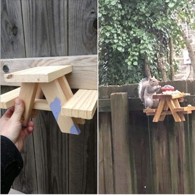 Bildschirmarbeiter - Picdump KW29 2021